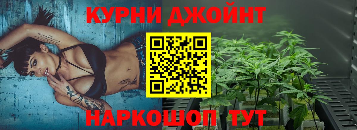 Шишки марихуана план  Канабис марихуана  Вход с VPN  Гусиноозёрск  Канабис THC 21% 
